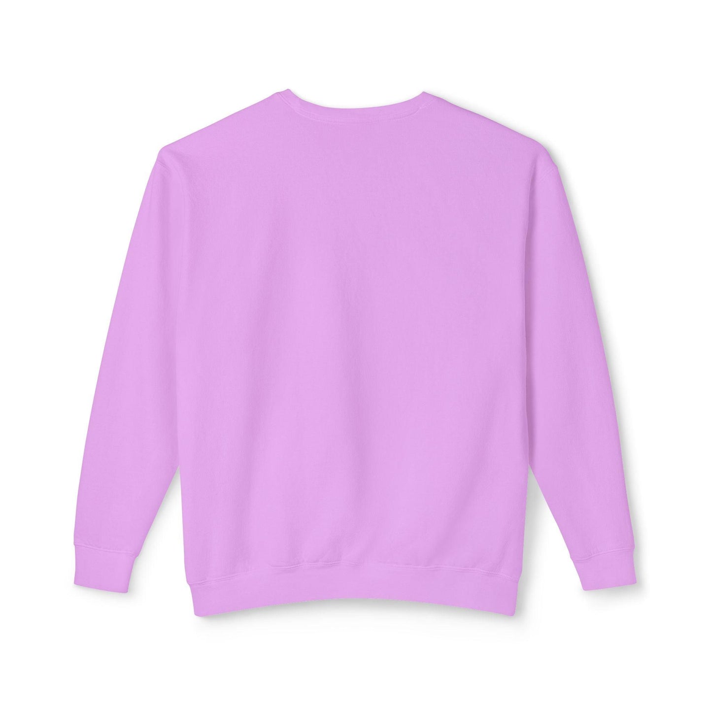 Unisex Lightweight Crewneck Sweatshirt - Even Keel LLC