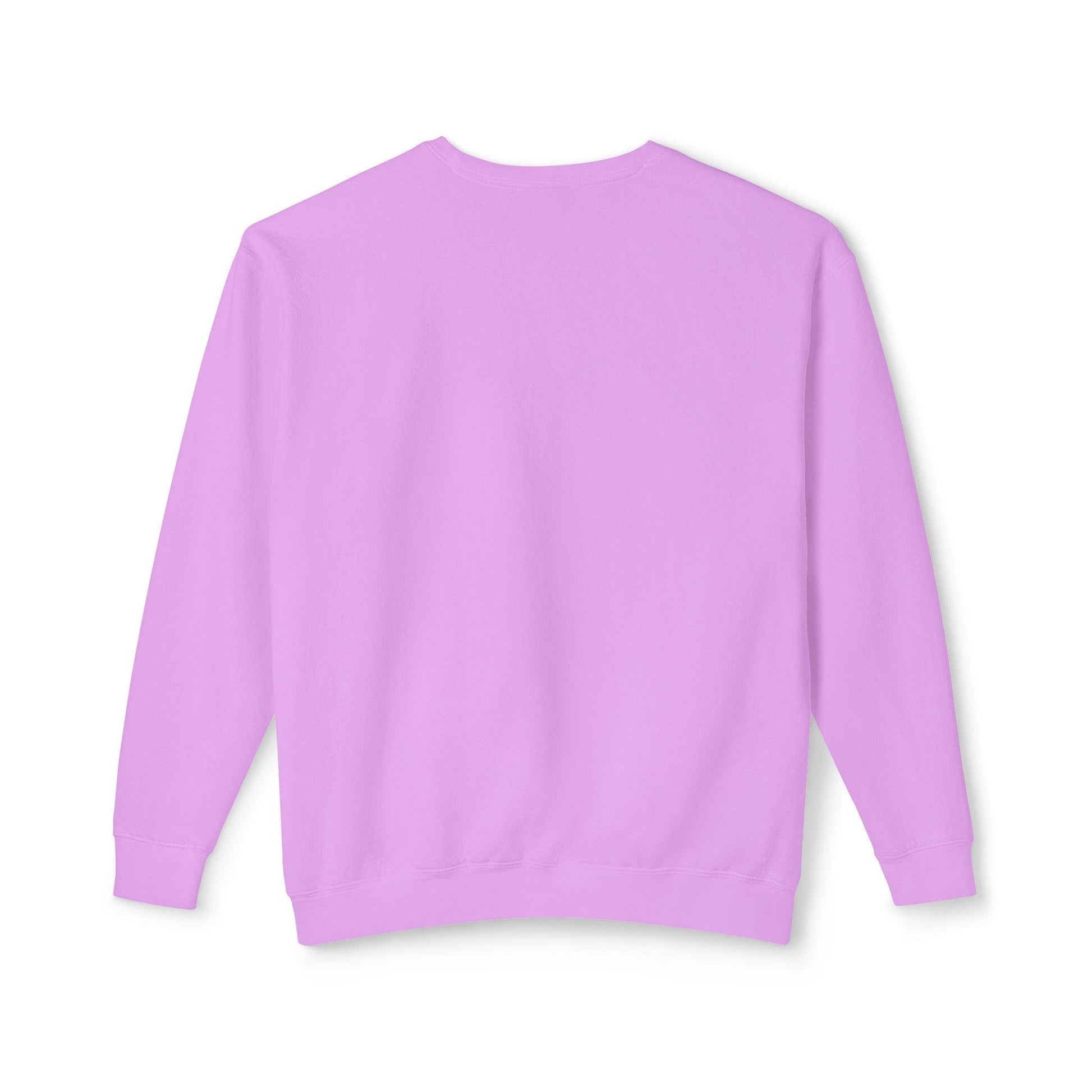 Unisex Lightweight Crewneck Sweatshirt - Even Keel LLC