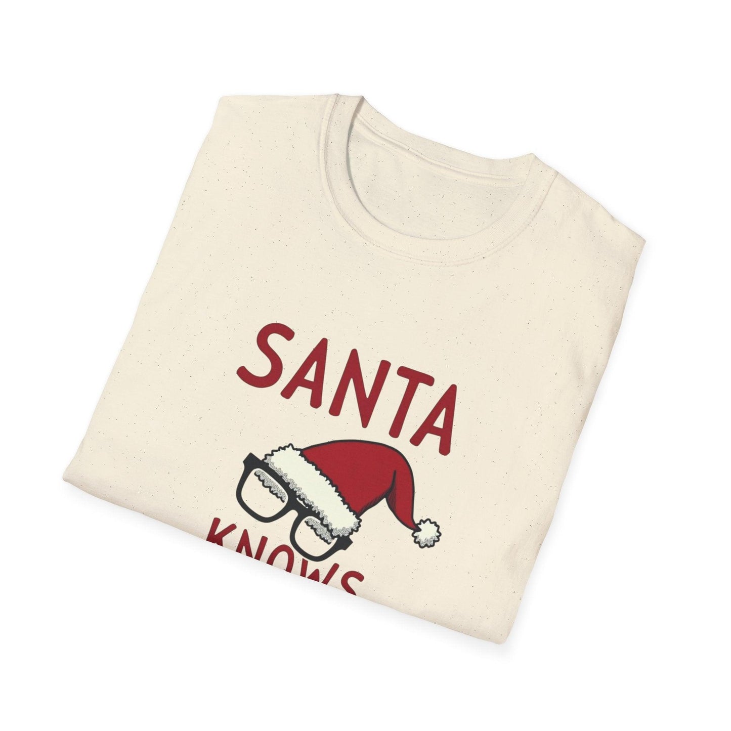 Santa Knows What You Did Unisex Softstyle T-Shirt Gift.